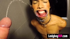 Piss and blowjob session with a ladyboy